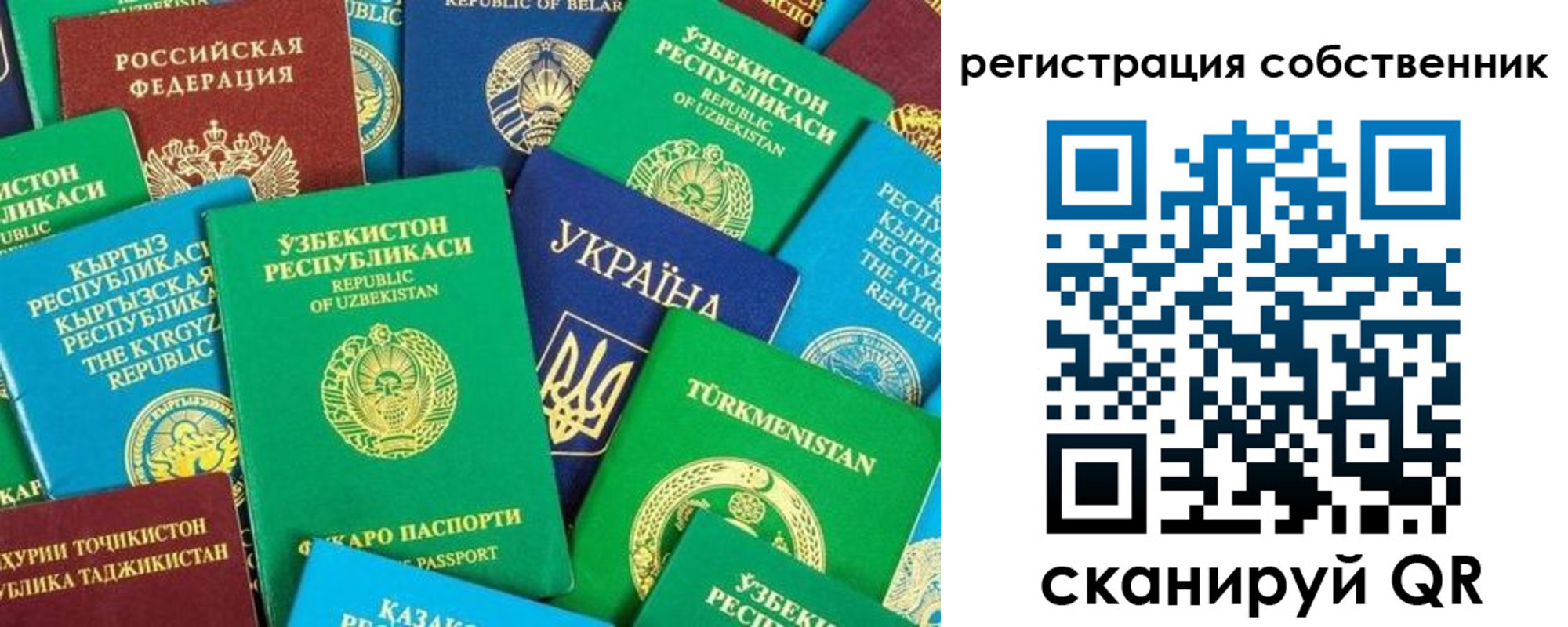 прописка в Суворове
